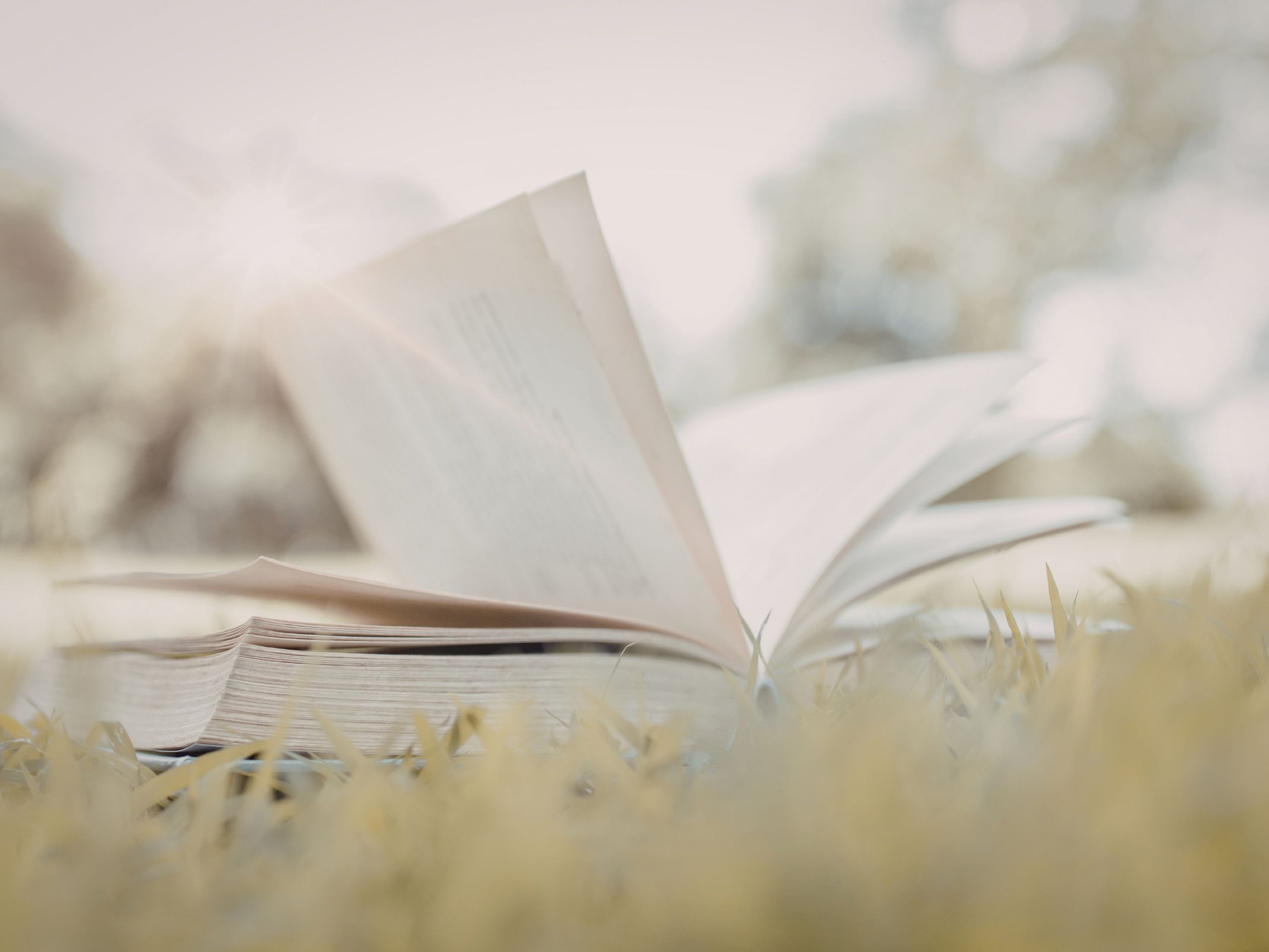 writing a novel